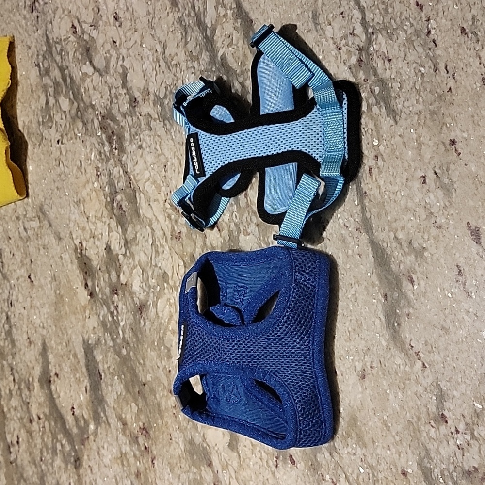 Set of 2 harnesses